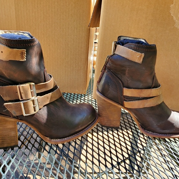 Freebirds - Baxter - Picture 2 of 5